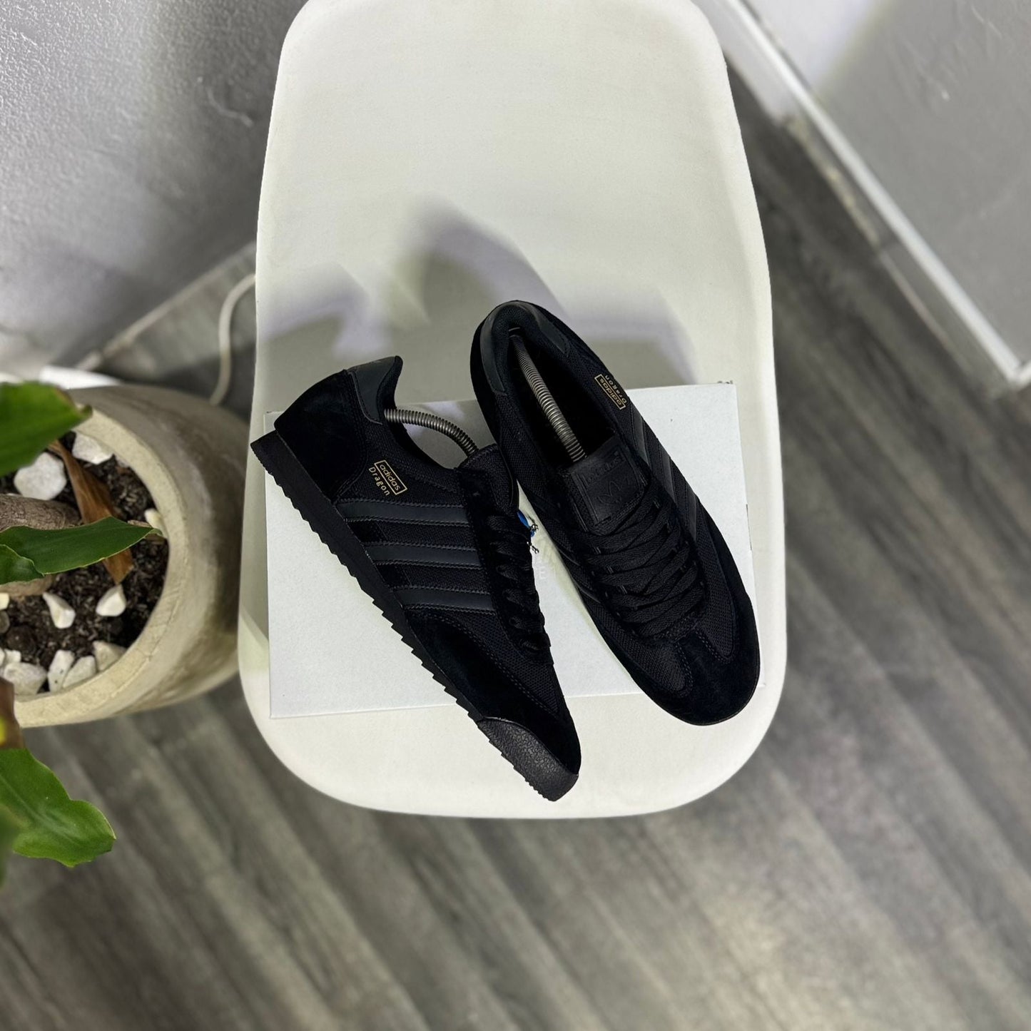 Adidas Dragon - Off Club