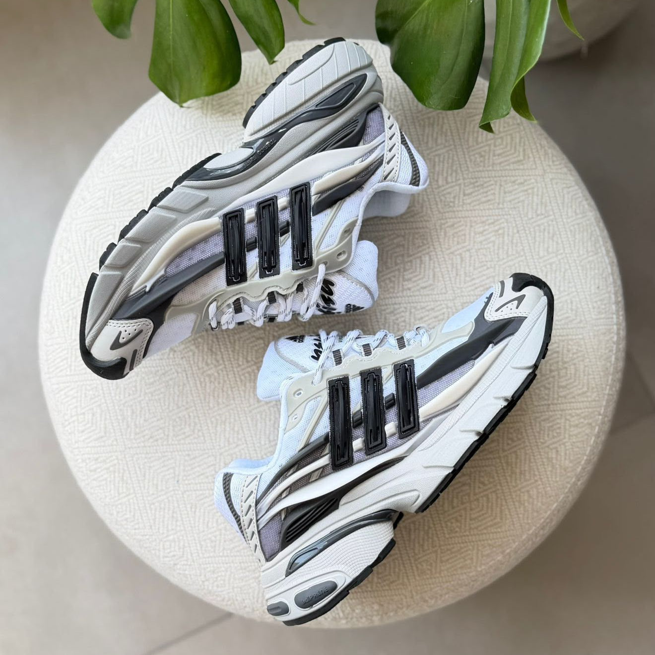 Adidas Jellyfish