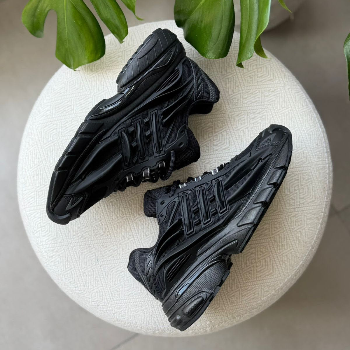 Adidas Jellyfish
