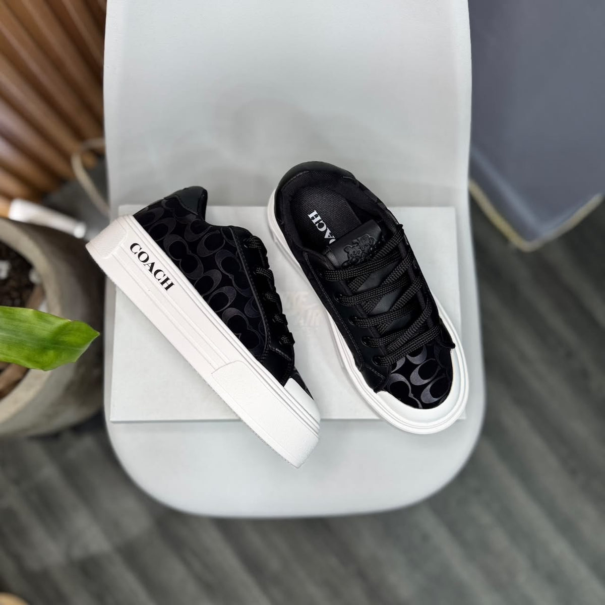 Coach Plataforma Black