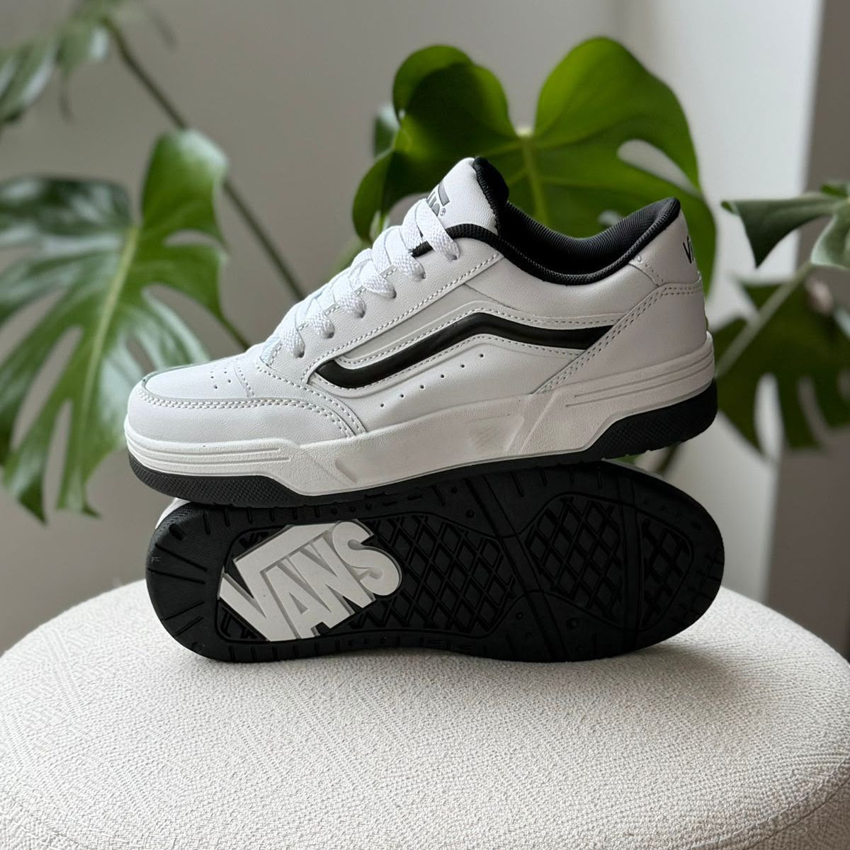 Vans Hylane White Black